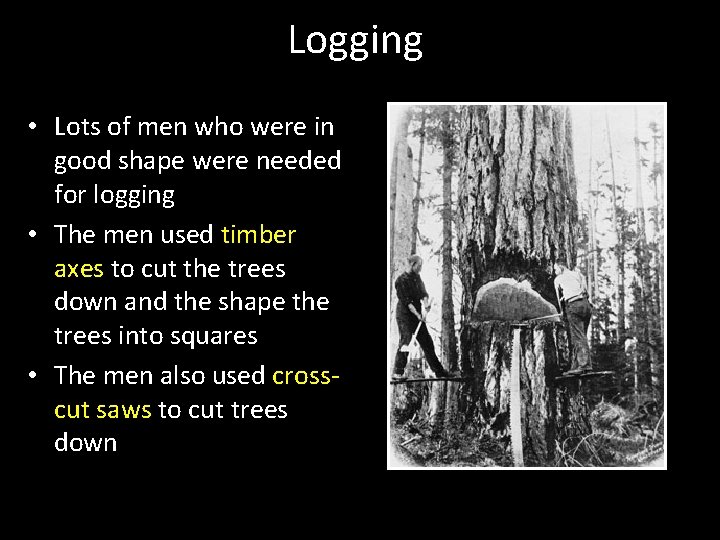 Logging • Lots of men who were in good shape were needed for logging