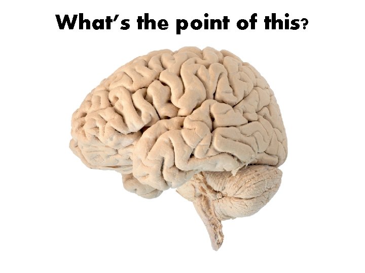 What’s the point of this? 