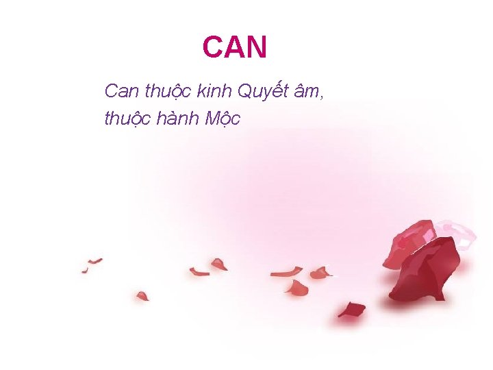 CAN Can thuộc kinh Quyết âm, thuộc hành Mộc 