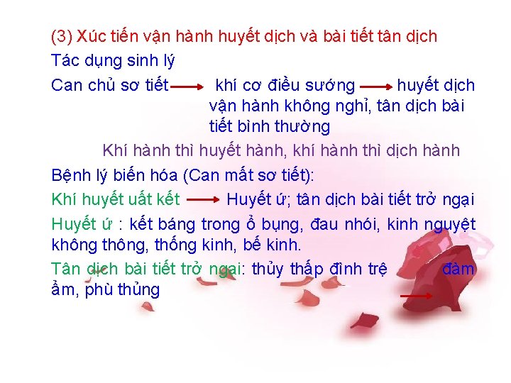 (3) Xúc tiến vận hành huyết dịch và bài tiết tân dịch Tác dụng