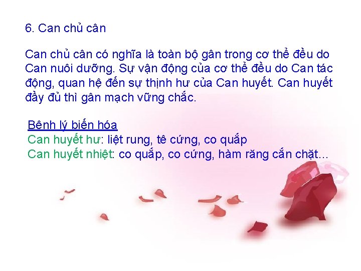 6. Can chủ cân có nghĩa là toàn bộ gân trong cơ thể đều