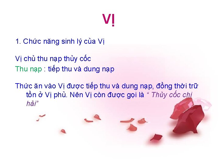 VỊ 1. Chức năng sinh lý của Vị Vị chủ thu nạp thủy cốc