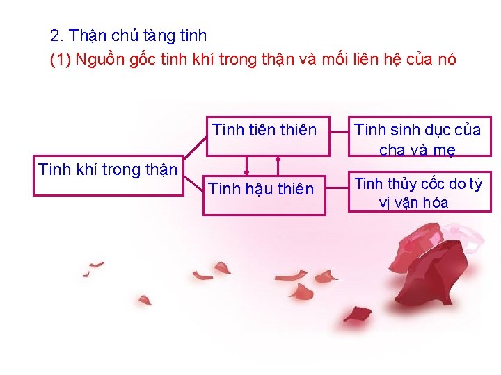 2. Thận chủ tàng tinh (1) Nguồn gốc tinh khí trong thận và mối