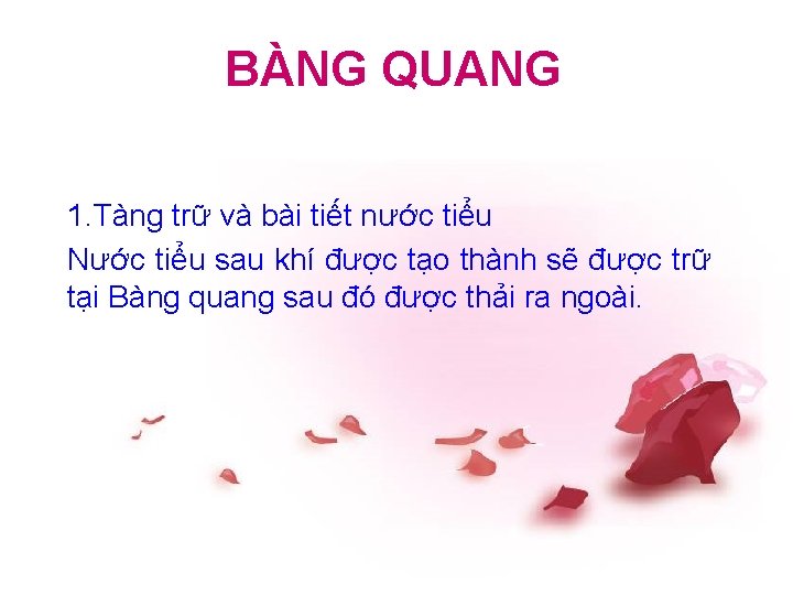 BÀNG QUANG 1. Tàng trữ và bài tiết nước tiểu Nước tiểu sau khí