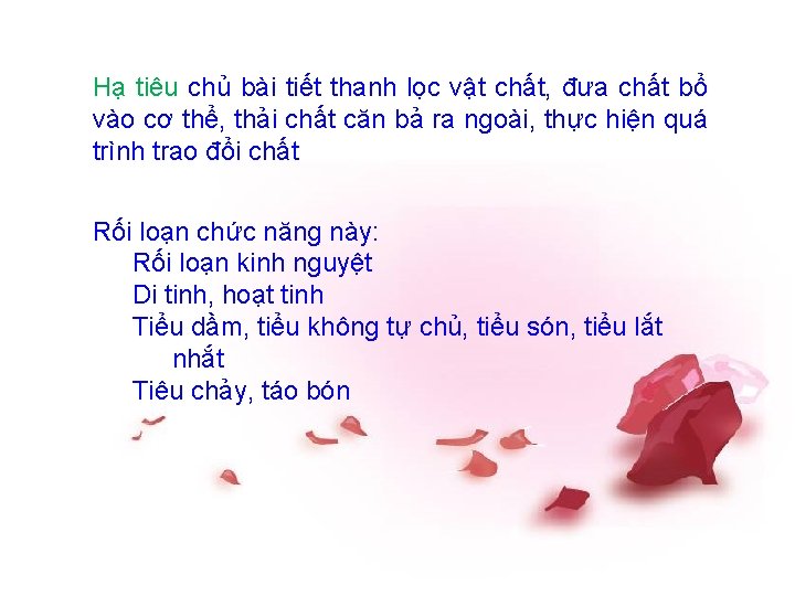 Hạ tiêu chủ bài tiết thanh lọc vật chất, đưa chất bổ vào cơ