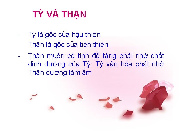 TỲ VÀ THẬN - Tỳ là gốc của hậu thiên Thận là gốc của