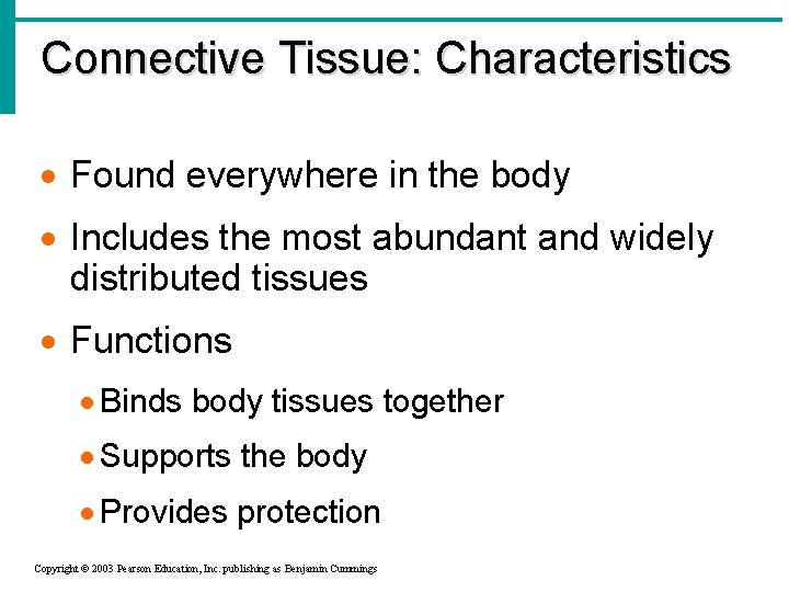 Connective Tissue: Characteristics · Found everywhere in the body · Includes the most abundant