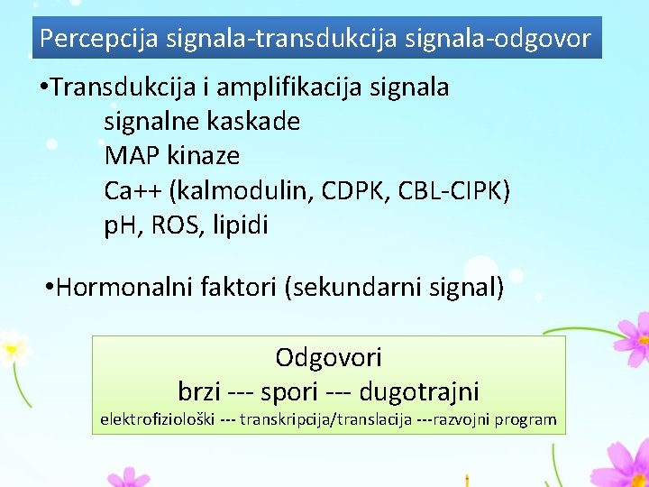 Percepcija signala-transdukcija signala-odgovor • Transdukcija i amplifikacija signalne kaskade MAP kinaze Ca++ (kalmodulin, CDPK,