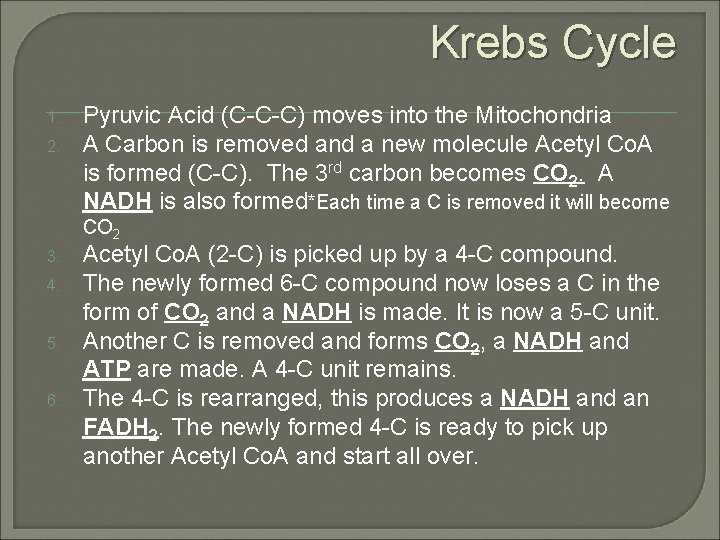 Krebs Cycle 1. 2. Pyruvic Acid (C-C-C) moves into the Mitochondria A Carbon is