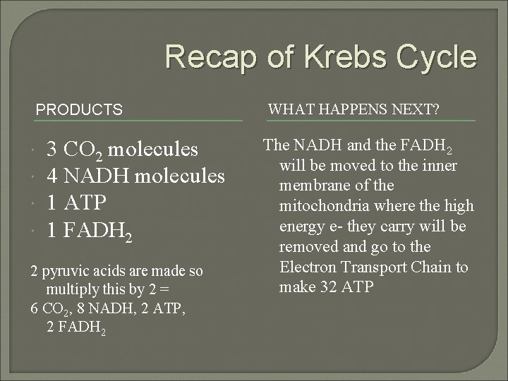Recap of Krebs Cycle PRODUCTS 3 CO 2 molecules 4 NADH molecules 1 ATP