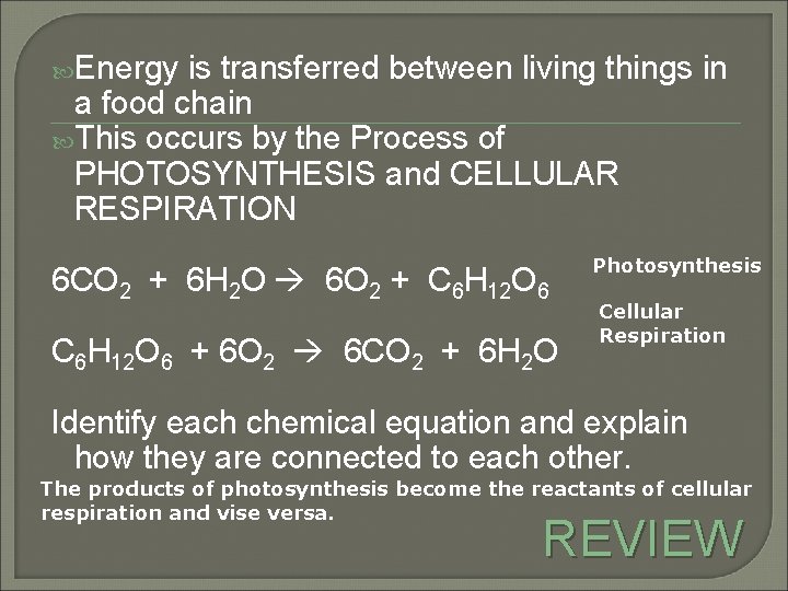  Energy is transferred between living things in a food chain This occurs by