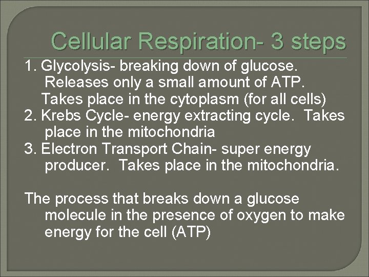 Cellular Respiration- 3 steps 1. Glycolysis- breaking down of glucose. Releases only a small