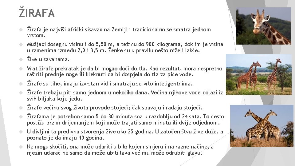 ŽIRAFA Žirafa je najviši afrički sisavac na Zemlji i tradicionalno se smatra jednom vrstom.