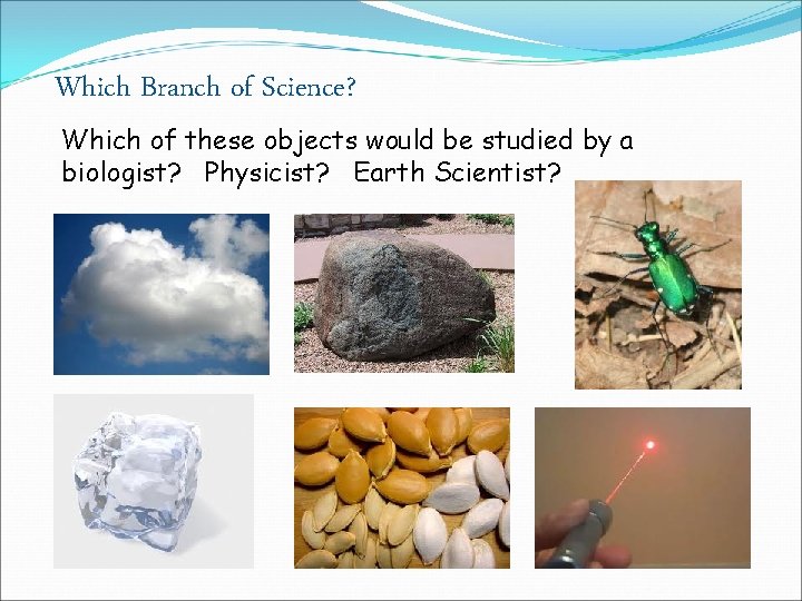 Which Branch of Science? Which of these objects would be studied by a biologist?