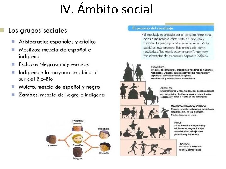 IV. Ámbito social 