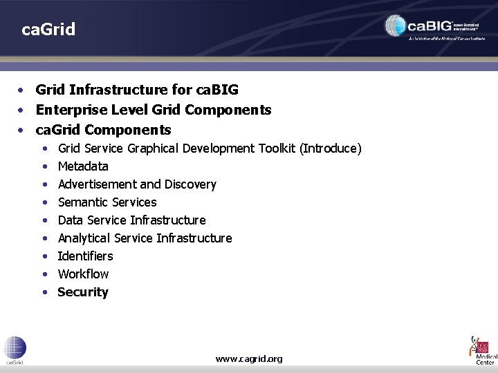 ca. Grid • Grid Infrastructure for ca. BIG • Enterprise Level Grid Components •