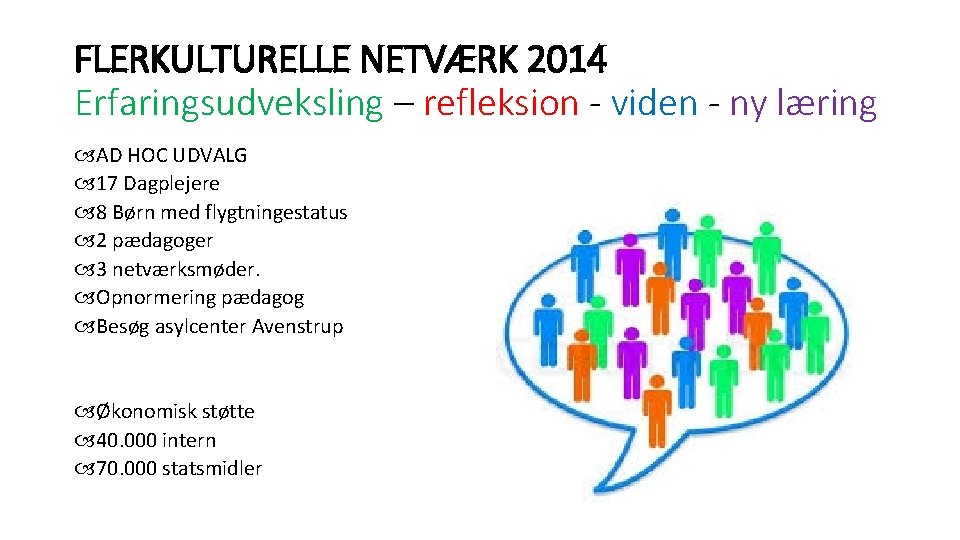 FLERKULTURELLE NETVÆRK 2014 Erfaringsudveksling – refleksion - viden - ny læring AD HOC UDVALG