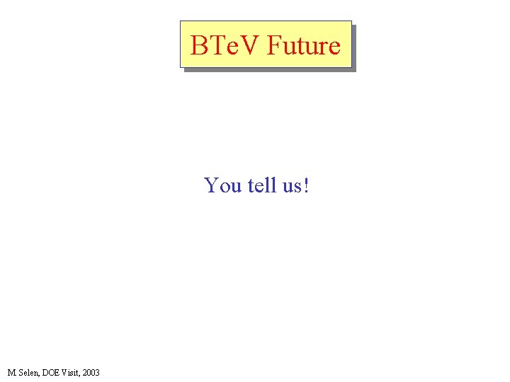 BTe. V Future You tell us! M. Selen, DOE Visit, 2003 