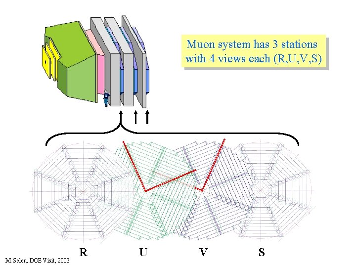 Muon system has 3 stations with 4 views each (R, U, V, S) M.