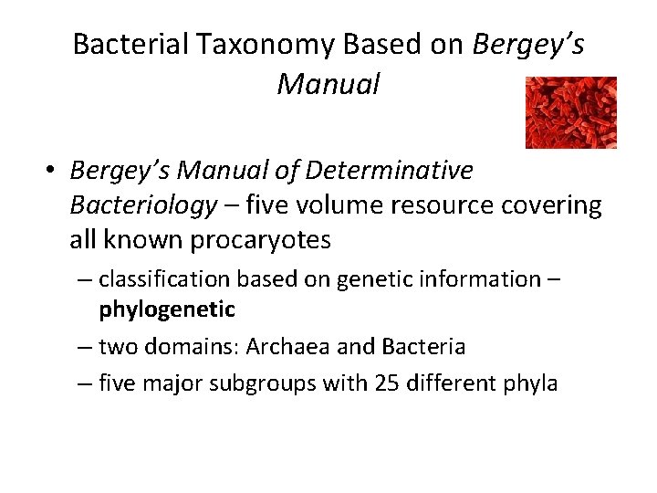 Bacterial Taxonomy Based on Bergey’s Manual • Bergey’s Manual of Determinative Bacteriology – five