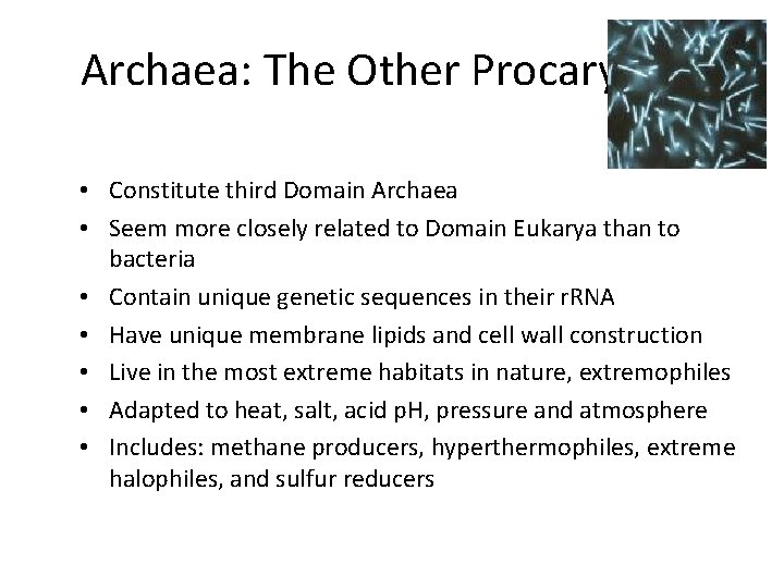 Archaea: The Other Procaryotes • Constitute third Domain Archaea • Seem more closely related