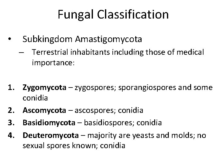 Fungal Classification • Subkingdom Amastigomycota – Terrestrial inhabitants including those of medical importance: 1.