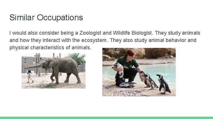 Similar Occupations I would also consider being a Zoologist and Wildlife Biologist. They study