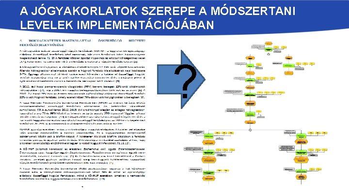A JÓGYAKORLATOK SZEREPE A MÓDSZERTANI LEVELEK IMPLEMENTÁCIÓJÁBAN ? 