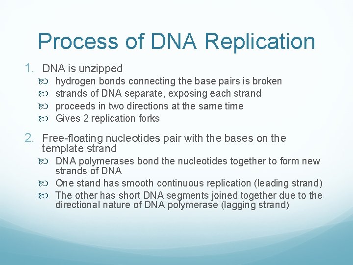 Process of DNA Replication 1. DNA is unzipped hydrogen bonds connecting the base pairs