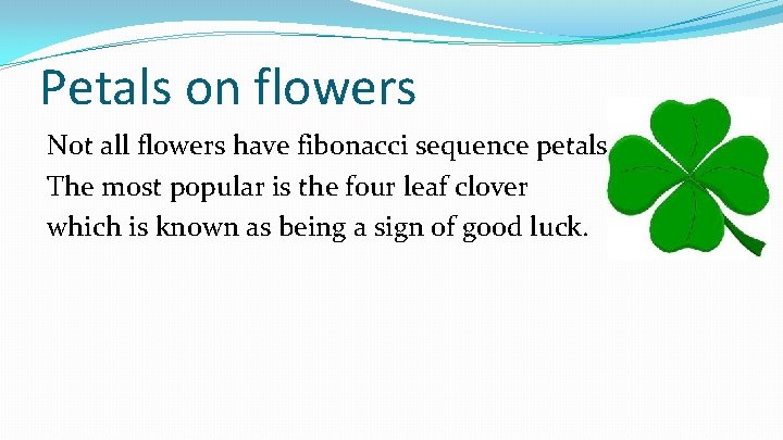 Petals on flowers Not all flowers have fibonacci sequence petals. The most popular is