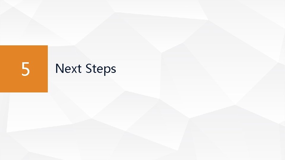 5 Next Steps 