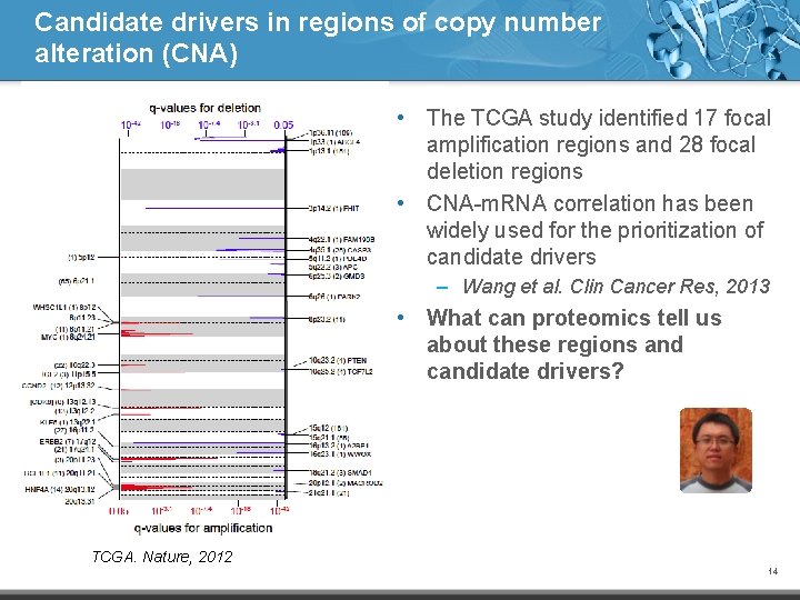 Candidate drivers in regions of copy number alteration (CNA) • The TCGA study identified