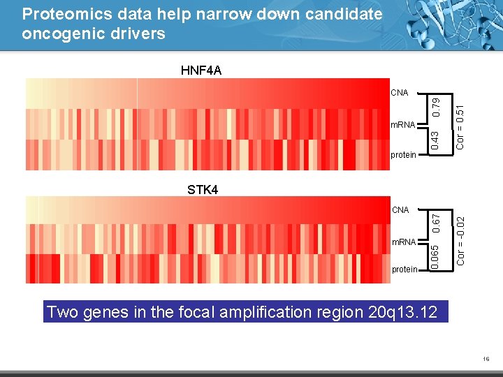 Proteomics data help narrow down candidate oncogenic drivers HNF 4 A protein 0. 43