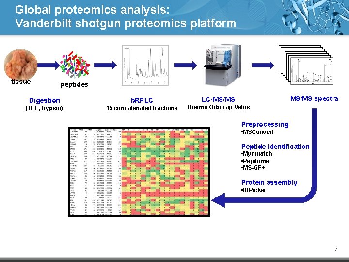 Global proteomics analysis: Vanderbilt shotgun proteomics platform tissue peptides Digestion b. RPLC (TFE, trypsin)
