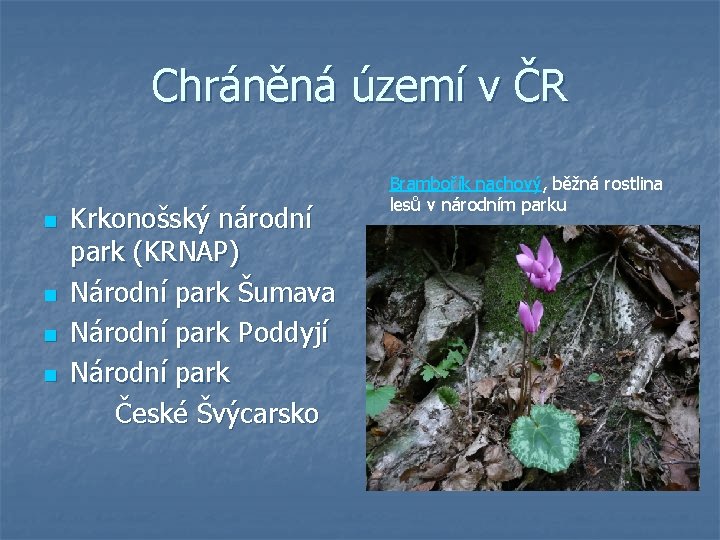 Chráněná území v ČR n n Krkonošský národní park (KRNAP) Národní park Šumava Národní