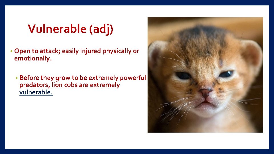 Vulnerable (adj) • Open to attack; easily injured physically or emotionally. • Before they
