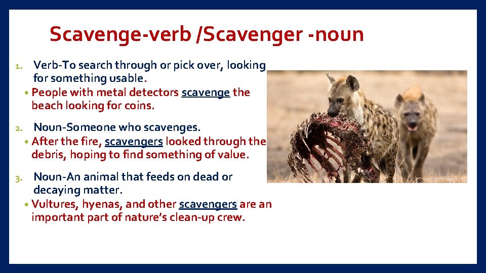 Scavenge-verb /Scavenger -noun 1. Verb-To search through or pick over, looking for something usable.