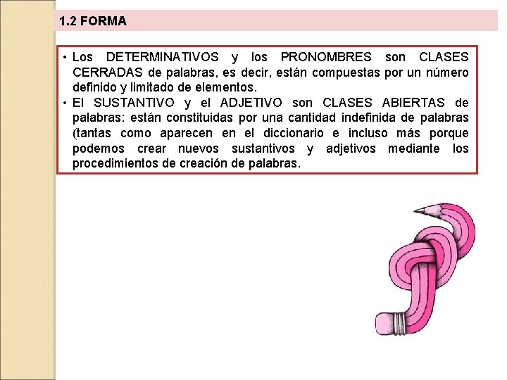 1. 2 FORMA • Los DETERMINATIVOS y los PRONOMBRES son CLASES CERRADAS de palabras,