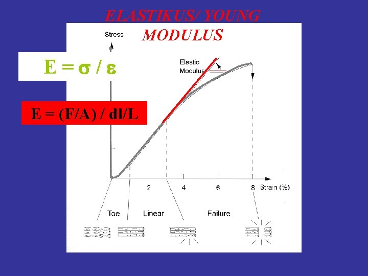 ELASTIKUS/ YOUNG MODULUS E= / E = (F/A) / dl/L 