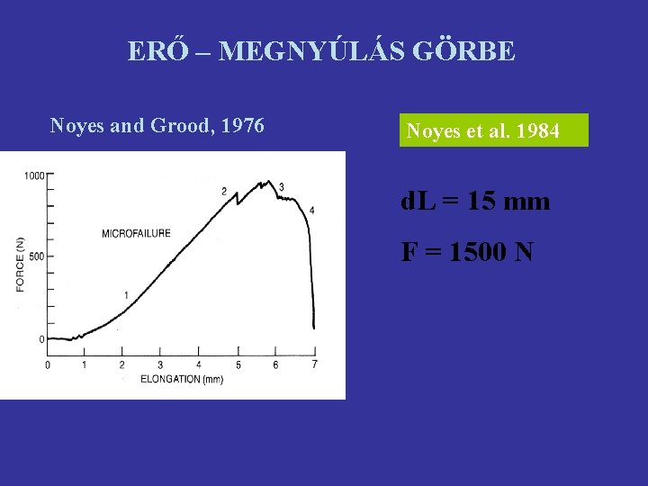 ERŐ – MEGNYÚLÁS GÖRBE Noyes and Grood, 1976 Noyes et al. 1984 d. L