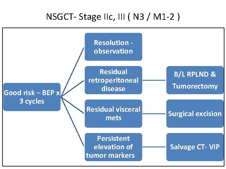 NSGCT- Stage IIc, III ( N 3 / M 1 -2 ) Resolution observation