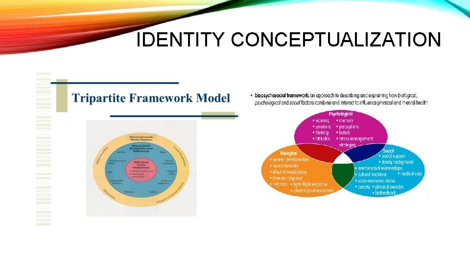 IDENTITY CONCEPTUALIZATION 