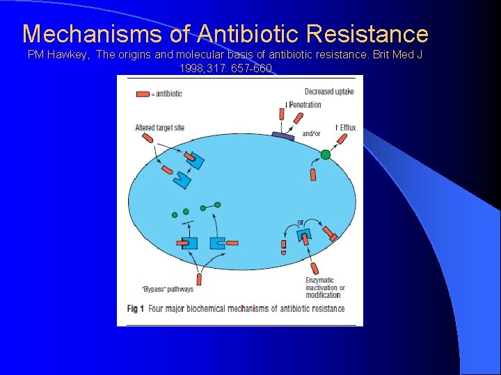 Mechanisms of Antibiotic Resistance PM Hawkey, The origins and molecular basis of antibiotic resistance.