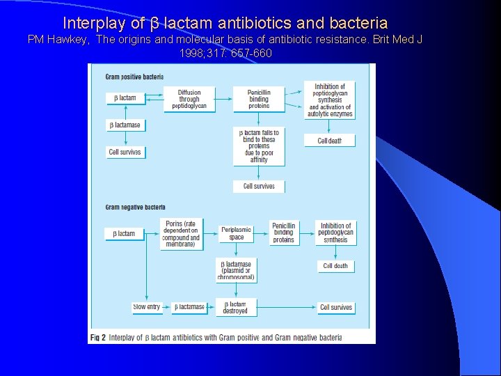 Interplay of β lactam antibiotics and bacteria PM Hawkey, The origins and molecular basis