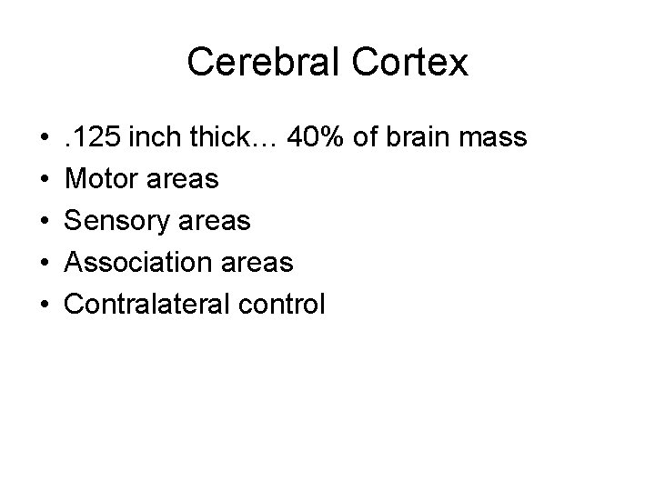 Cerebral Cortex • • • . 125 inch thick… 40% of brain mass Motor