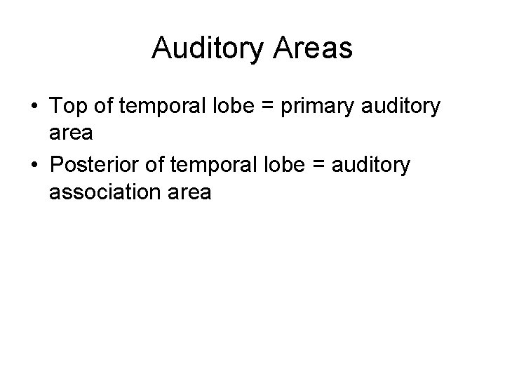 Auditory Areas • Top of temporal lobe = primary auditory area • Posterior of