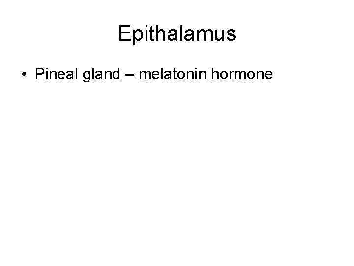 Epithalamus • Pineal gland – melatonin hormone 