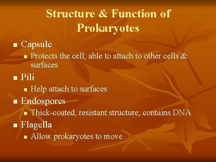 Structure & Function of Prokaryotes n Capsule n n Pili n n Help attach