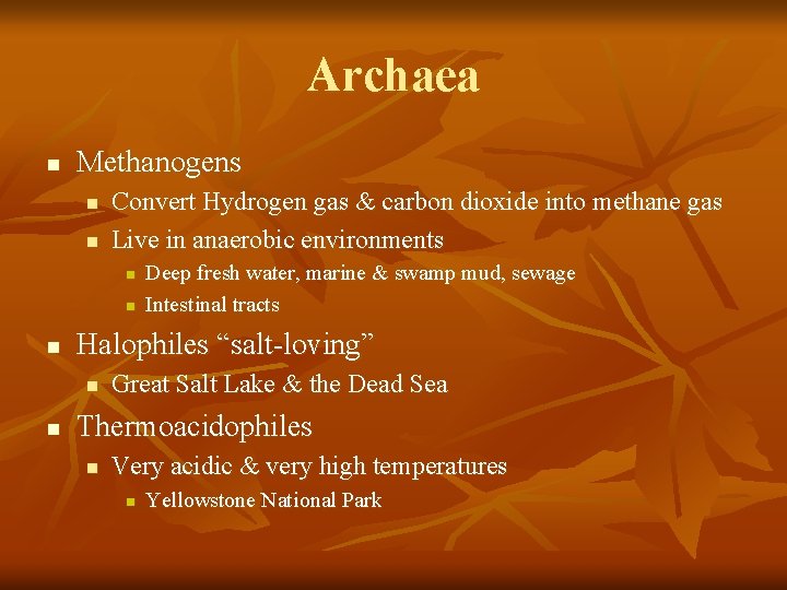 Archaea n Methanogens n n Convert Hydrogen gas & carbon dioxide into methane gas