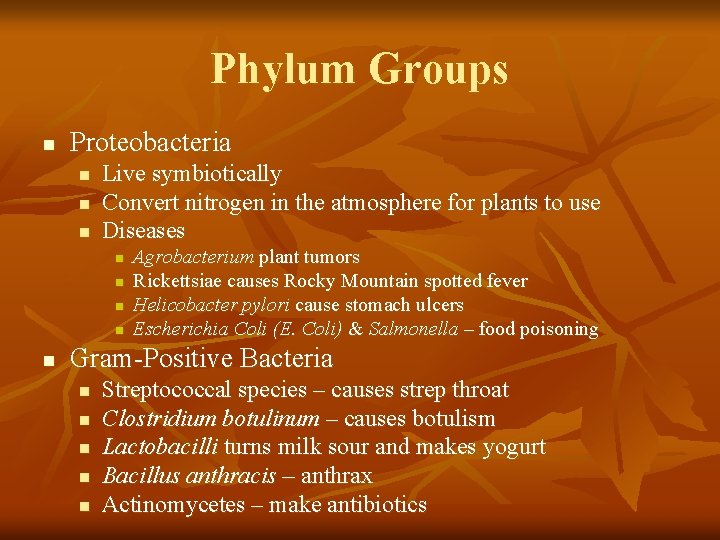 Phylum Groups n Proteobacteria n n n Live symbiotically Convert nitrogen in the atmosphere